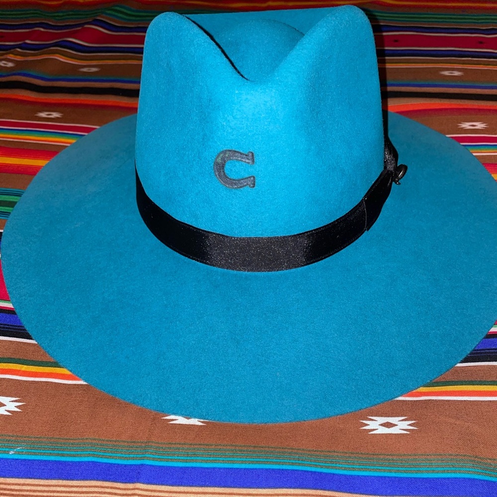 Charlie 1 Horse Highway Teal
